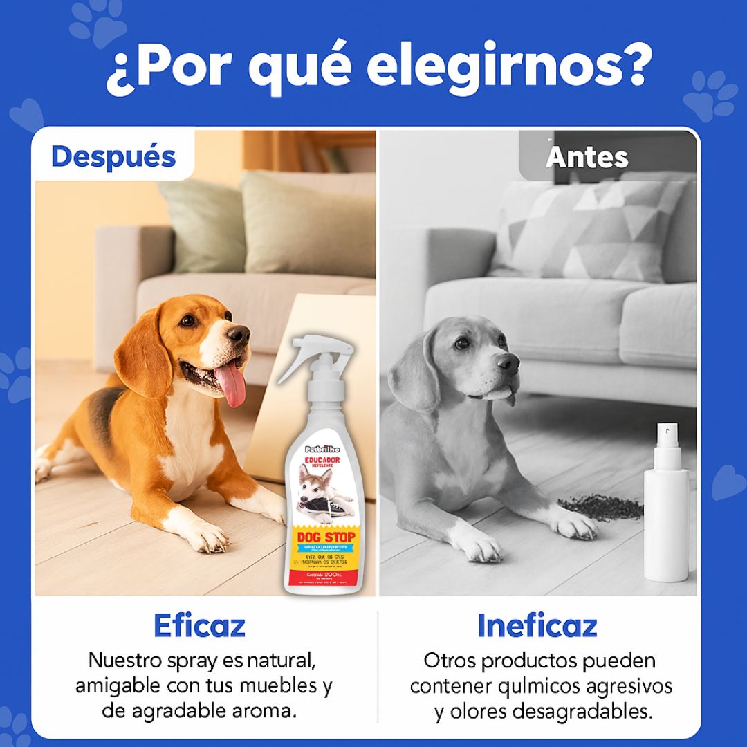 StopMord® – Protege tu Hogar y Educa con Amor