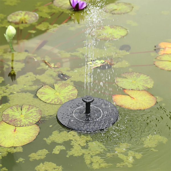 Fuente Solar para Pájaros EcoPond™