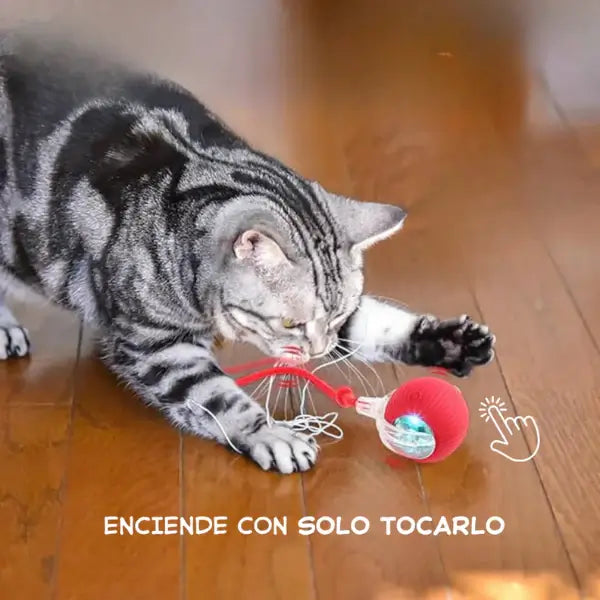 Bola Inteligente PetActive©