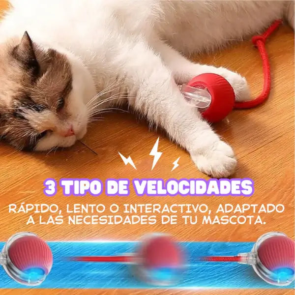 Bola Inteligente PetActive©