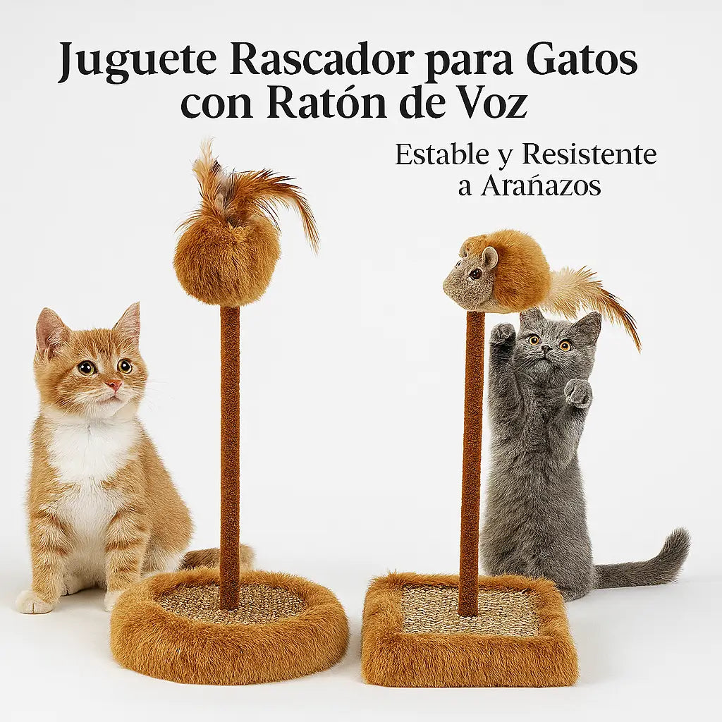 MichiFun® – Protección, Ejercicio y Juego