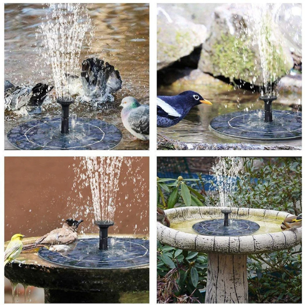 Fuente Solar para Pájaros EcoPond™