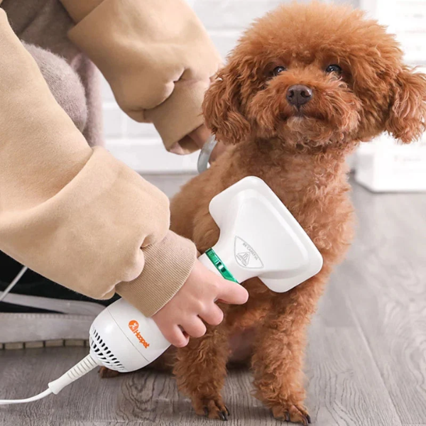 Cepillo secador mascota 2 en 1 + Envío gratis
