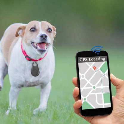 Localizador GPS SmartFind®