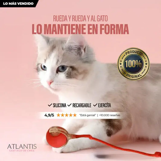 Bola Inteligente PetActive©