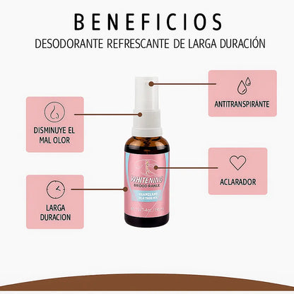SoftZen® – Frescura y Luminosidad