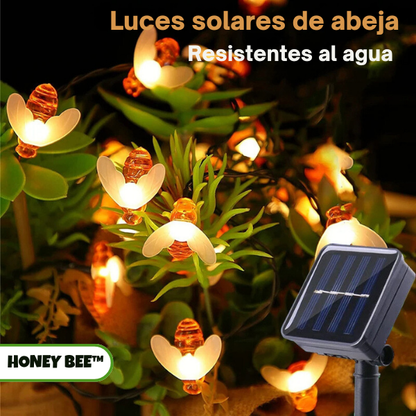 Luces Solares HoneyBee™️