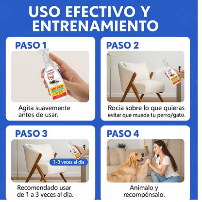 StopMord® – Protege tu Hogar y Educa con Amor