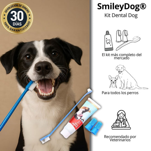 SmileyDog® – Salud Bucal para Tu Mejor Amigo