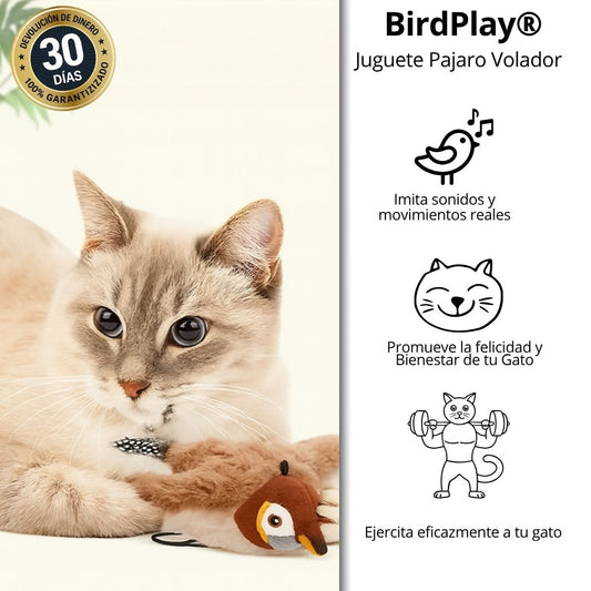 BirdPlay® – El Amigo que tu Gato Quiere Atrapar