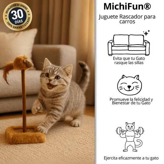 MichiFun® – Protección, Ejercicio y Juego
